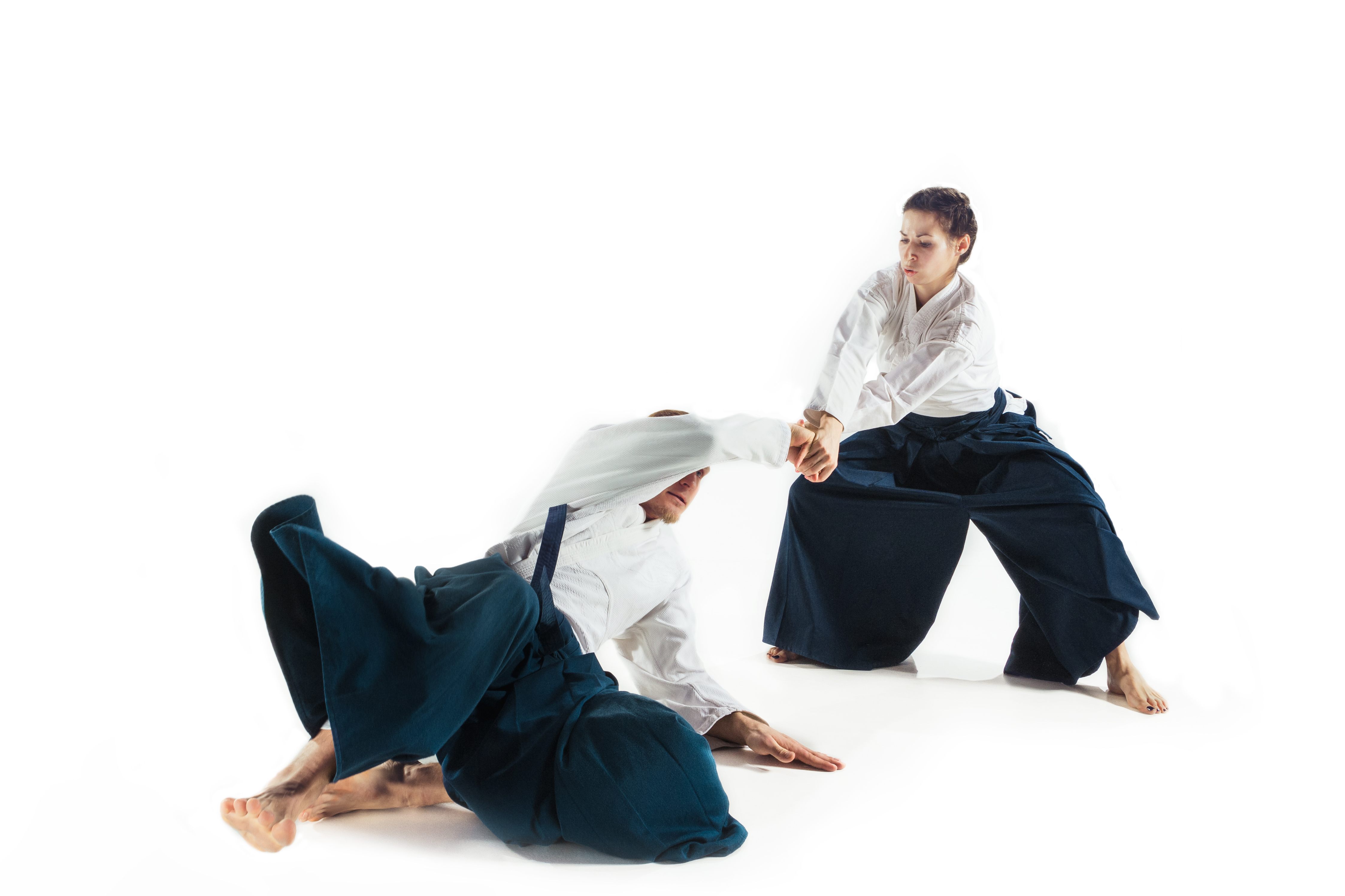 Aikido en 8 Japanse Principes