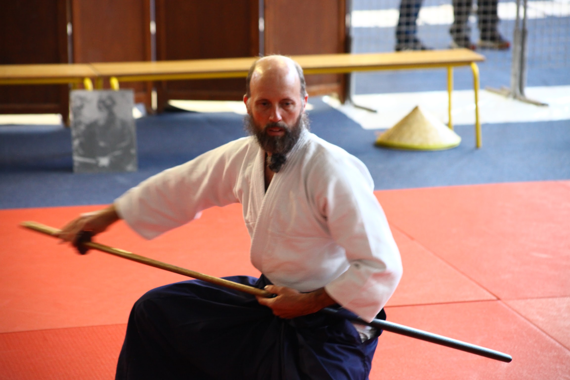 Zwart/wit aikido techniek